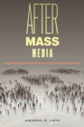 Image for After Mass Media