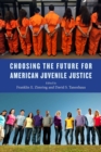 Image for Choosing the Future for American Juvenile Justice