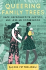 Image for Queering Family Trees : Race, Reproductive Justice, and Lesbian Motherhood