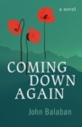 Image for Coming Down Again: A Novel