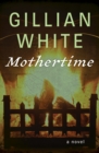 Image for Mothertime: A Novel