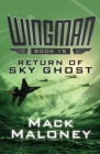 Image for Return of sky ghost : #15
