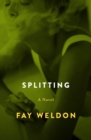Image for Splitting: A Novel