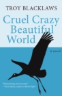 Image for Cruel Crazy Beautiful World: A Novel