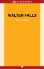 Image for Walter Falls: A Novel