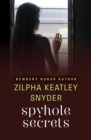 Image for Spyhole Secrets