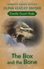Image for The Box and the Bone