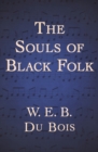Image for Souls of Black Folk