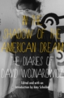 Image for In the Shadow of the American Dream: The Diaries of David Wojnarowicz