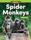 Image for Spider monkeys