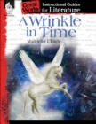 Image for Wrinkle In Time : An Instructional Guide For Literature