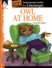 Image for Owl at Home