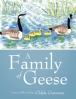 Image for Family of Geese