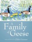 Image for A Family of Geese