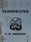 Image for Floodwater
