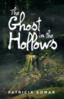 Image for The Ghost in the Hollows