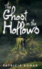 Image for The Ghost in the Hollows