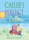 Image for Caeleb&#39;s Perfect Gift