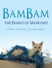 Image for Bambam, the Prince of Valprivas!: A Mostly True Story