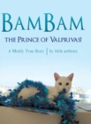 Image for BamBam, the Prince of Valprivas!