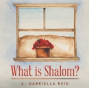Image for What Is Shalom?