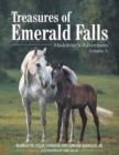 Image for Treasures of Emerald Falls