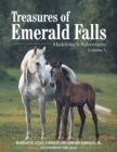 Image for Treasures of Emerald Falls: Madeleine&#39;S  Adventures - Volume 3.