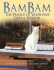 Image for Bambam the Prince of Valprivas! Gets a Visitor