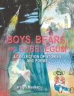 Image for Boys, Bears, and Bubblegum