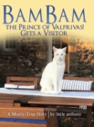 Image for Bambam the Prince of Valprivas! Gets a Visitor
