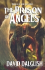 Image for The Prison of Angels : The Half-Orcs, Book 6