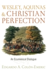 Image for Wesley, Aquinas, and Christian Perfection