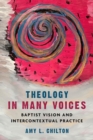 Image for Theology in Many Voices : Baptist Vision and Intercontextual Practice
