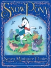 Image for Snow Pony and the Seven Miniature Ponies