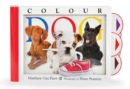 Image for Colour Dog