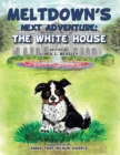 Image for Meltdown&#39;s Next Adventure: the White House