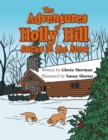 Image for Adventures of Holly Hill: Sticks in the Snow.