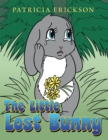 Image for Little Lost Bunny