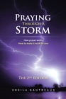 Image for Praying Through a Storm: How Prayer Works How to Make It Work  for You