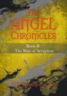Image for The Angel Chronicles