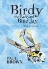 Image for Birdy the Backyard Blue Jay : Wing Adventure