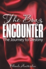 Image for Boaz Encounter: The Journey to Destiny
