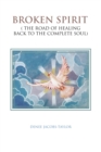 Image for Broken Spirit: ( the Road of Healing Back to the Complete Soul)