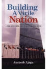 Image for Building a Virile Nation: ...The Private Sector Perspective