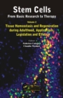 Image for Stem cells  : from research to basic therapyVolume two,: Tissue homeostasis and regeneration during adulthood, applications, legislation and ethics