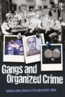 Image for Introduction to gangs