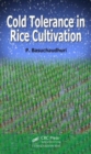 Image for Cold Tolerance in Rice Cultivation