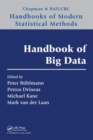 Image for Handbook of Big Data