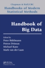 Image for Handbook of big data