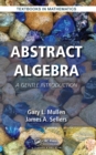 Image for Abstract algebra: a gentle introduction